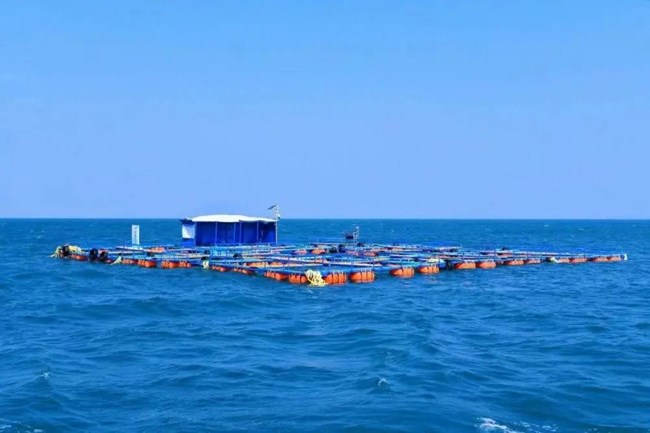 Giàn thử nghiệm khai thác urani từ nước biển lớn nhất Trung Quốc đi vào hoạt động (20/5/2023)